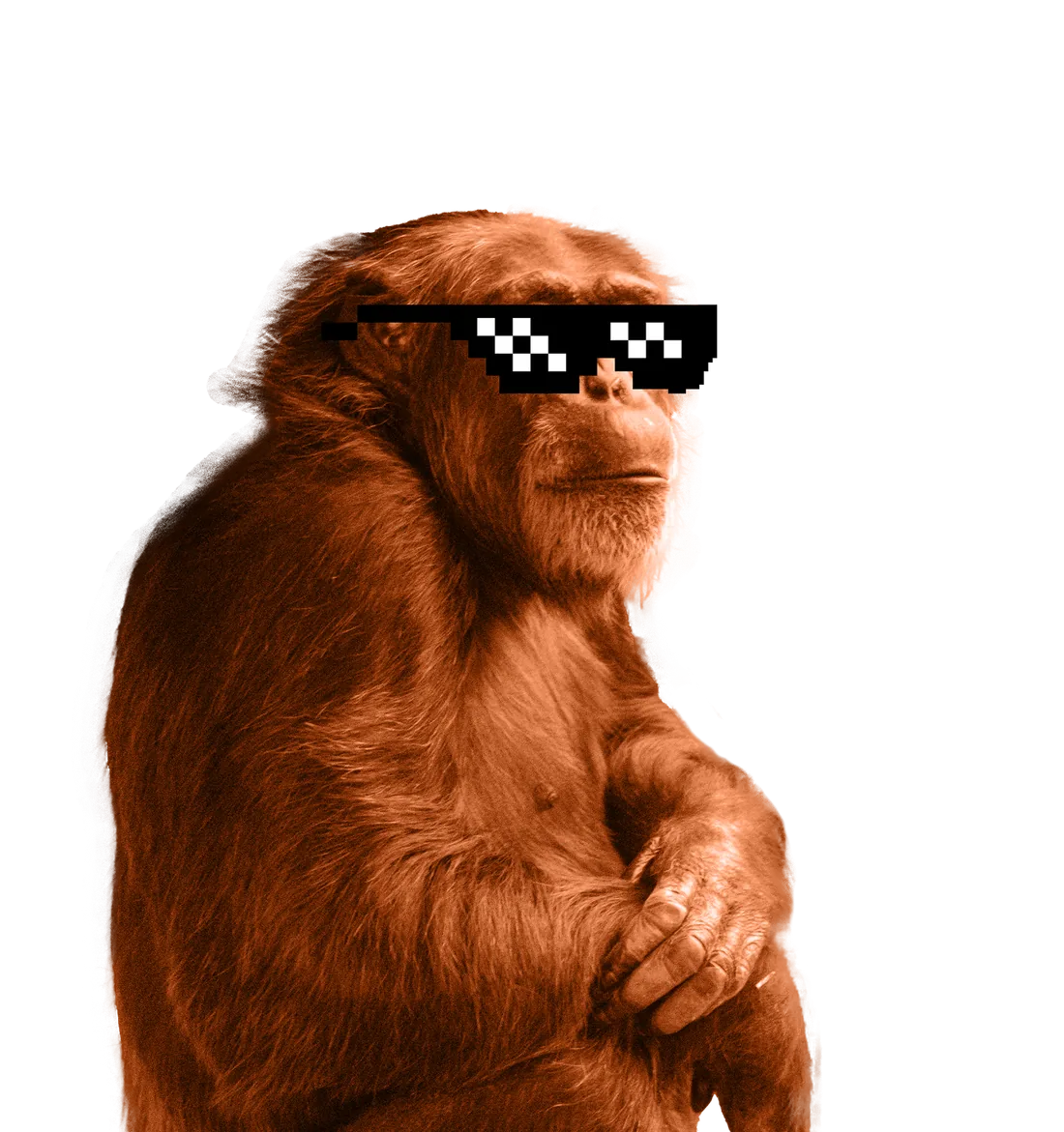 El mono con gafas de Mono